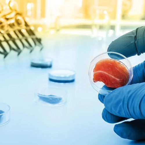 凱愛瑞發布2022全球風味圖譜，帝斯曼成立新食品飲料事業部——有料Weekly技術交流