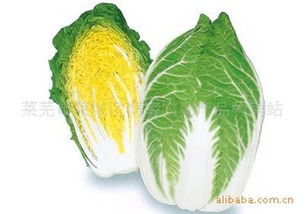 萊蕪市萊城區(qū)潤宇農(nóng)副產(chǎn)品購銷站 連接田間與餐桌的綠色橋梁