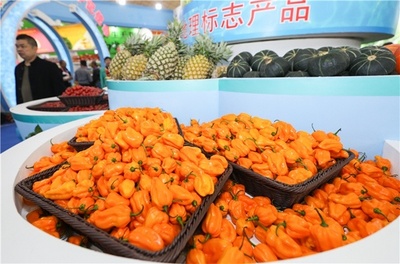 冬交會(huì)陵水展館 68種優(yōu)質(zhì)特色農(nóng)副產(chǎn)品引關(guān)注，銷售火爆